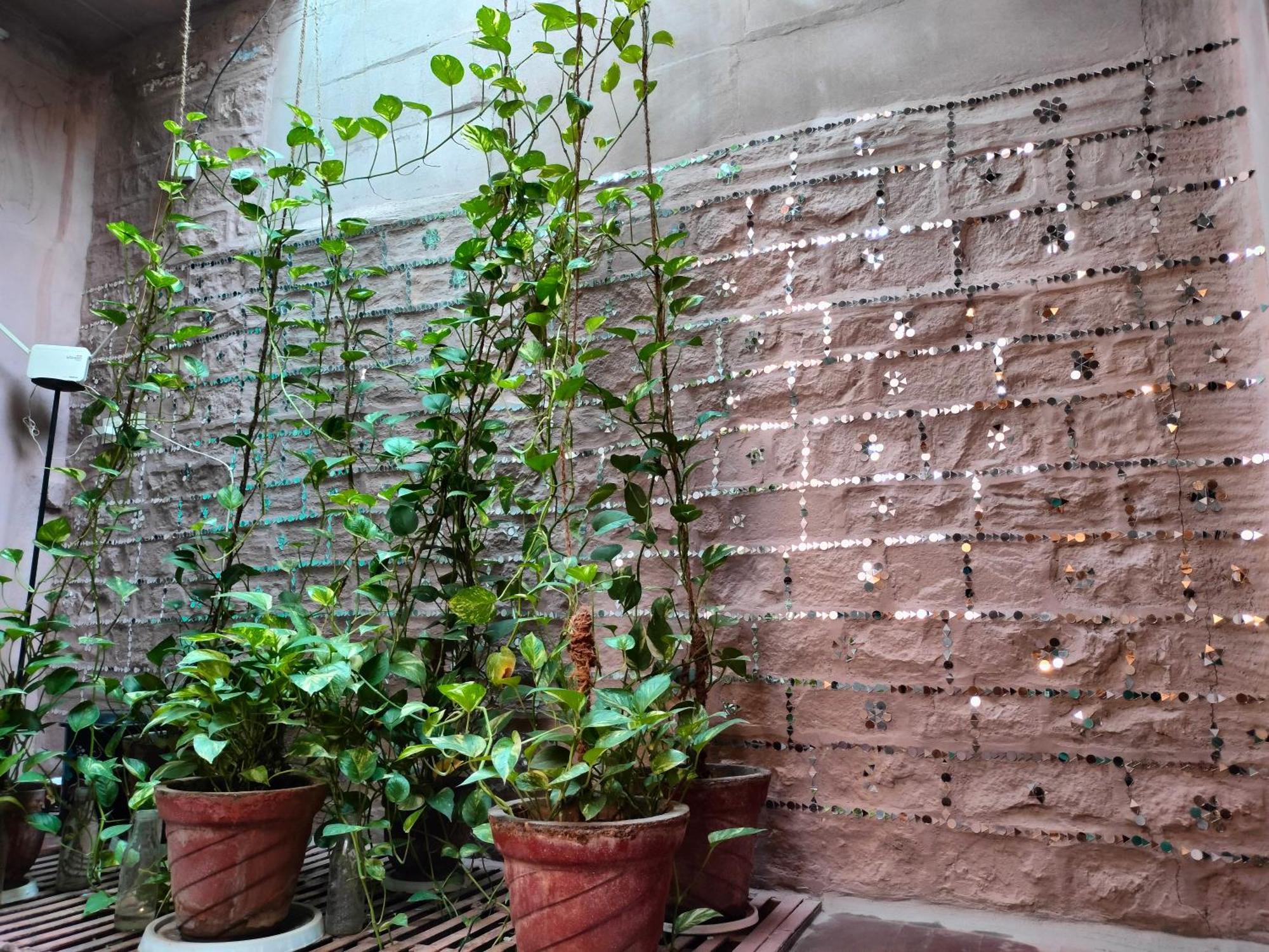 Casa De Jodhpur Hotell Jodhpur  Eksteriør bilde